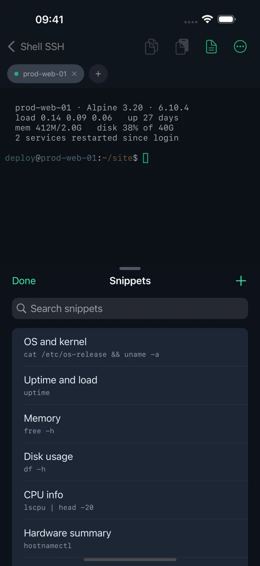 Shell SSH screenshot 2