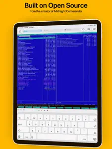 La Terminal - SSH Client 1