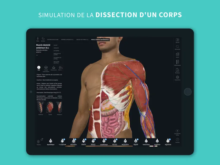 Capture d'écran de Complete Anatomy Pour IPad sur iPhone 2