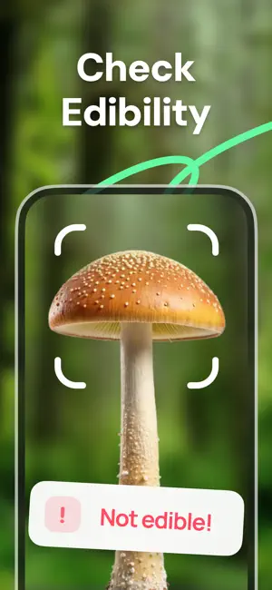 Mushroom ID - Fungi Identifier screenshot 3