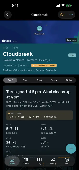 Alani Surf screenshot 10