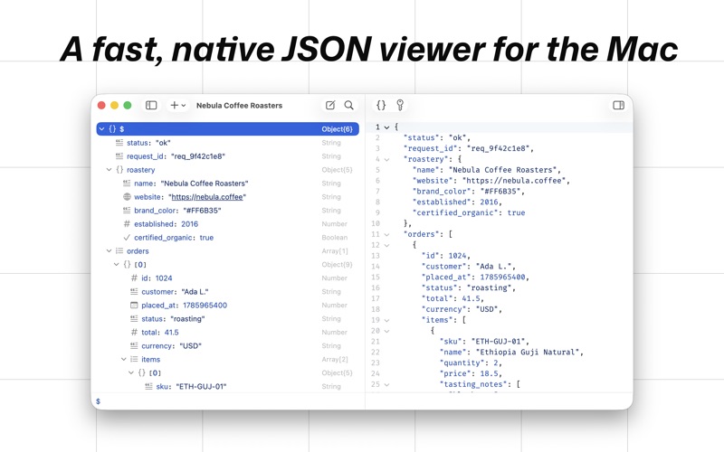 OK JSON - Viewer & Formatter iPhone screenshot