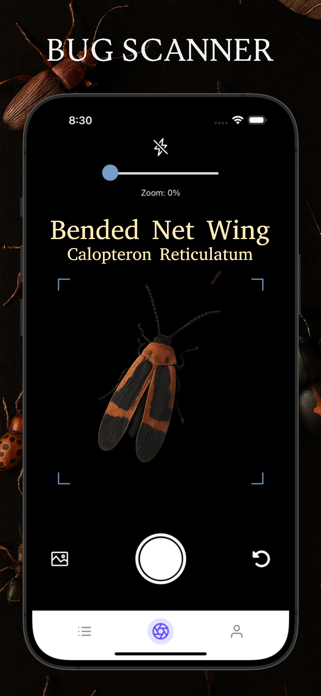 Bug Scanner & Bug ID,Insect ID Screenshot 4 of 4