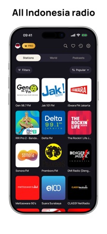 Radio Indonesia FM Live Online iPhone screenshot