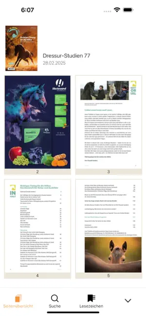 Fair zum Pferd Dressur-Studien screenshot 3