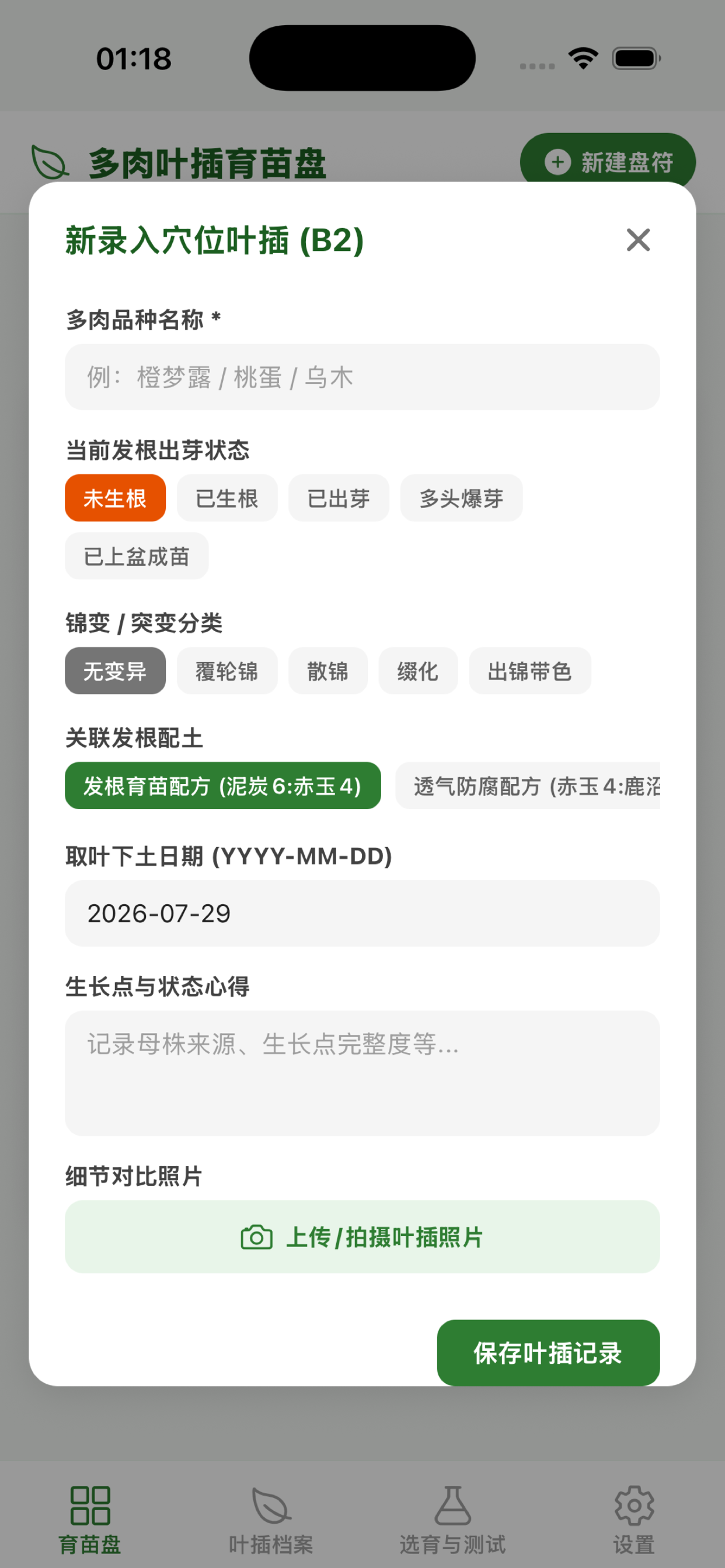 叶插格子 screenshot 3