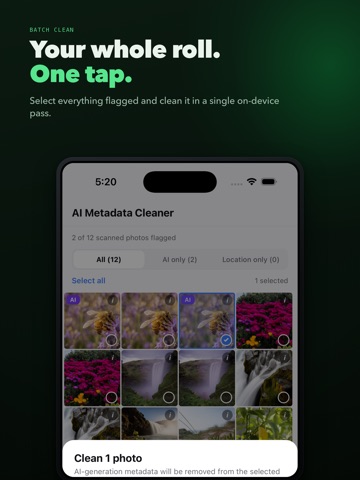 TagWipe: AI Metadata Cleaner iPad screenshot