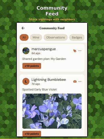 Beehive Connections iPad screenshot