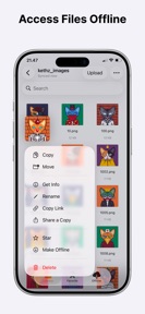 SelfCloud Drive screenshot