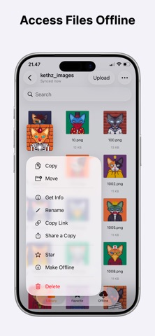 SelfCloud Drive Screenshot 5 of 6