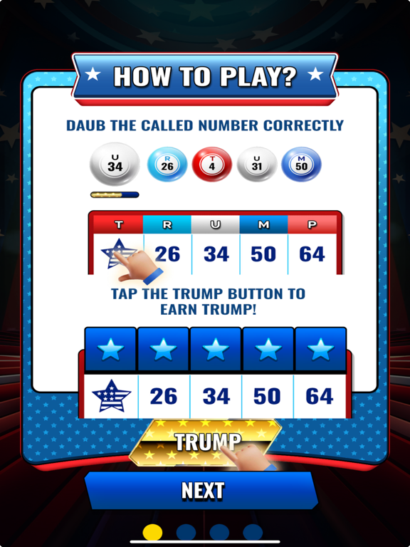 MAGA Bingo iPad screenshot 3 - Games app