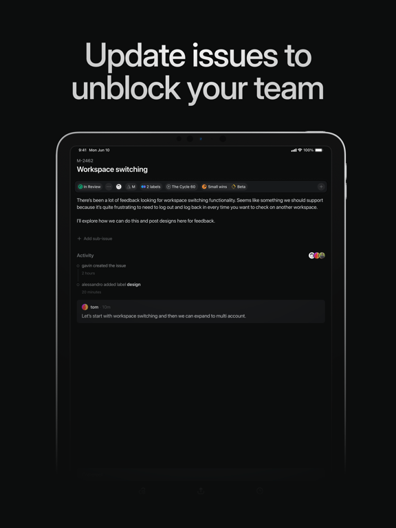 Linear Mobile iPad screenshot 5 - Business app