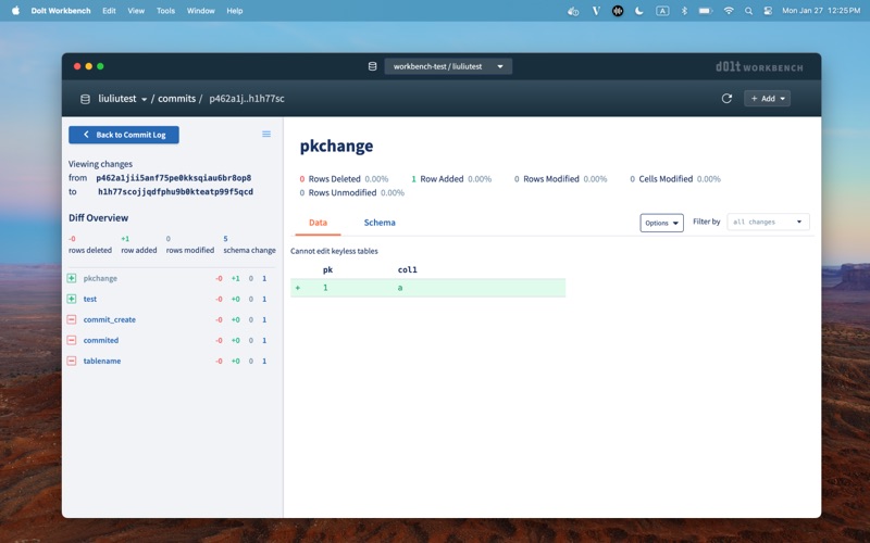 Dolt Workbench screenshot