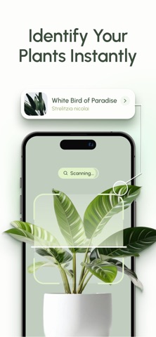 Figgy: Plant Care & Identifier screenshot