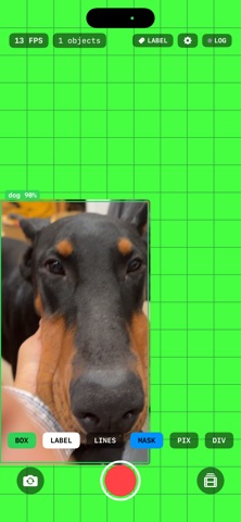Panoptican Blob Detection screenshot