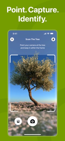 Tree Identifier: Flora Scanner screenshot