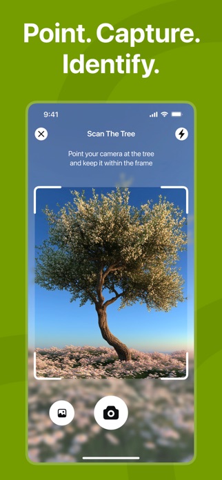 Tree Identifier: Flora Scanner Screenshot 4 of 5