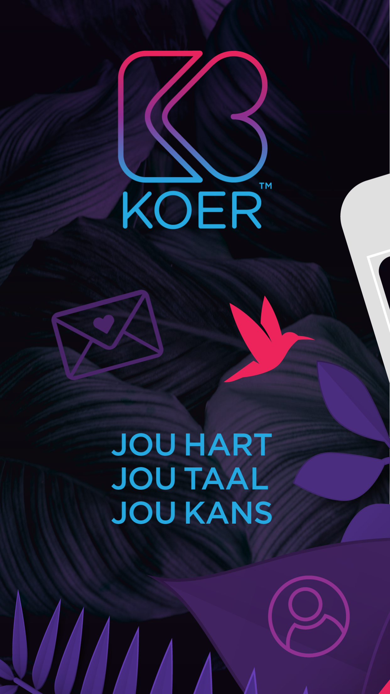 Koer