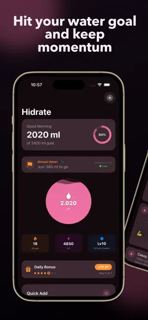 Hidrate screenshot 1