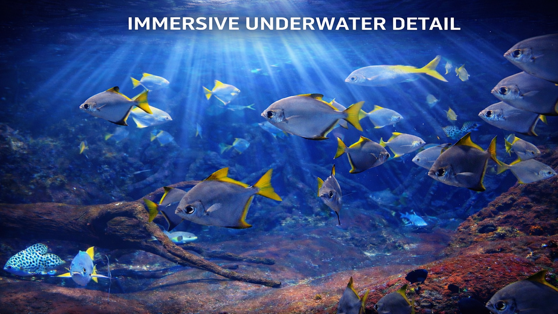 Living Aquarium TV 4K screenshot 3