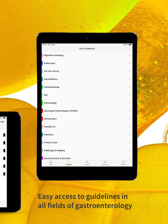 Screenshot #5 pour GI Guidelines