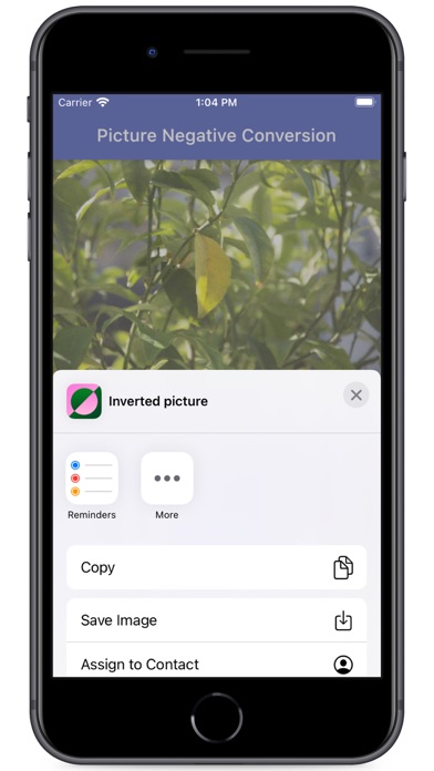 Picturevert Screenshot
