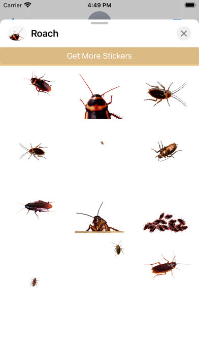 Screenshot #2 pour Cockroach's Head