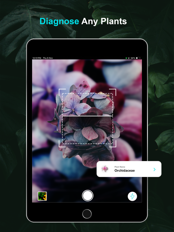 Plant Disease Diagnosis App iPad screenshot