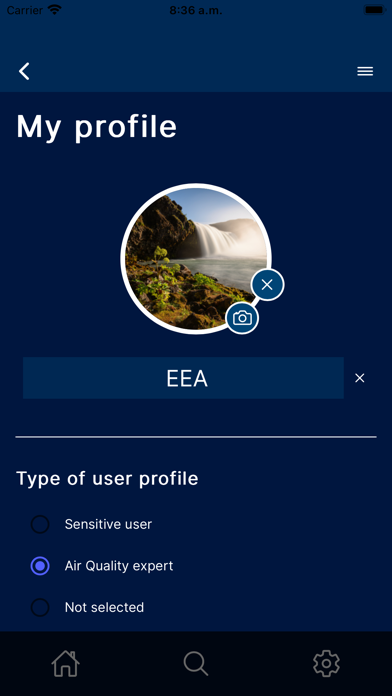 European Air Quality Index Screenshot