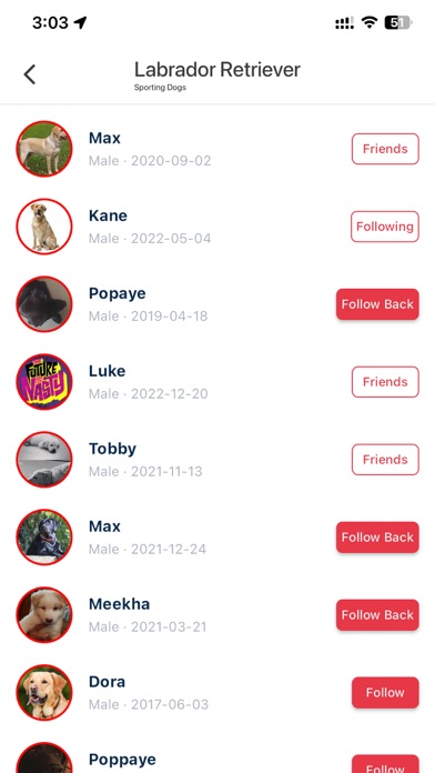Blipets Screenshot