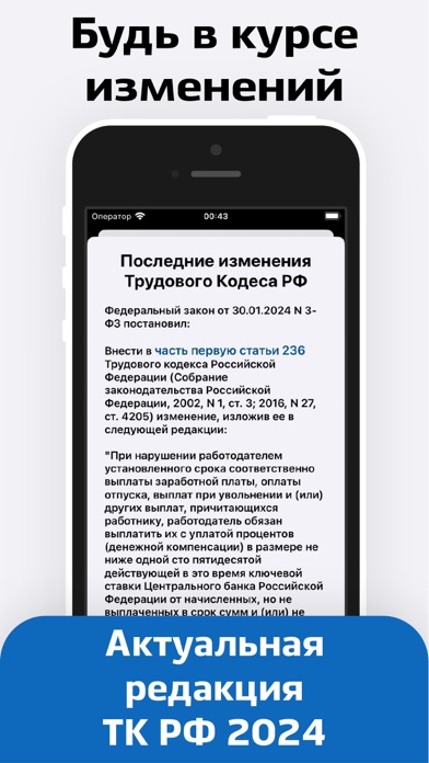Трудовой Кодекс Screenshot