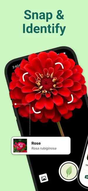 AI Plant Identifier: Care App screenshot 2