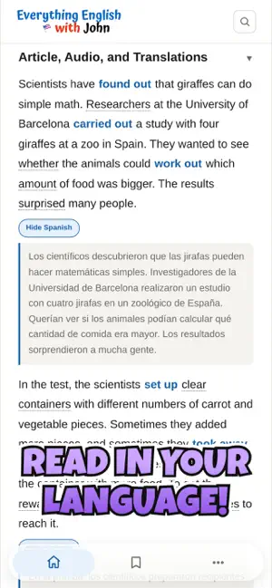 Phrasal Verb News screenshot 4