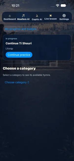 Serafim Academy screenshot 1
