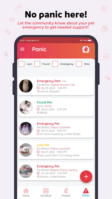 Mazito: Pet Social Network iPhone screenshot 5 - Social Networking app