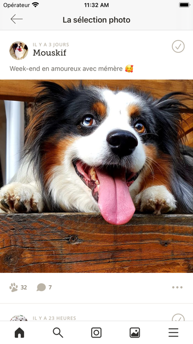 Screenshot #2 pour Yummypets - Animaux