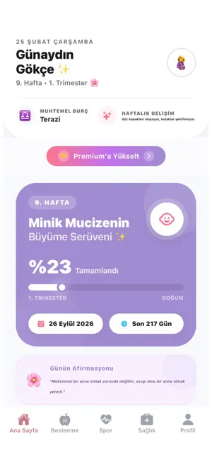MommySteps screenshot 3