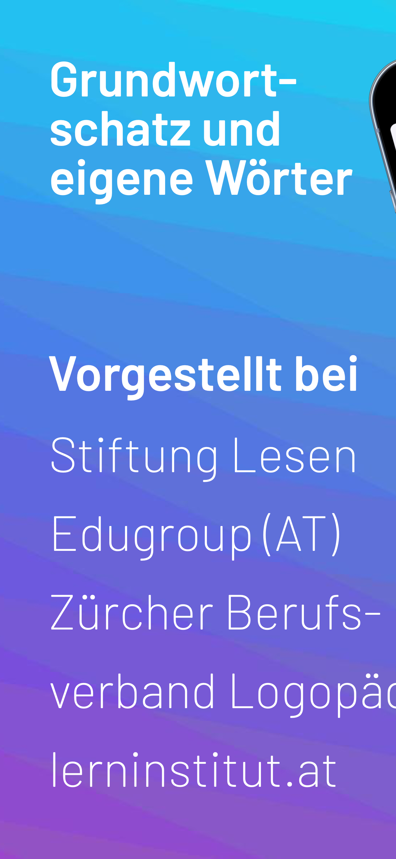 Blitzlesen: Das Original
