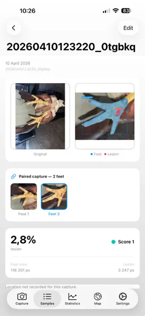 Podo: Poultry footpad scoring screenshot 3