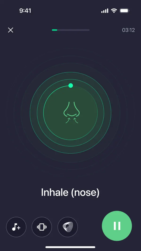 Pulsetto Wellness Screenshot 7