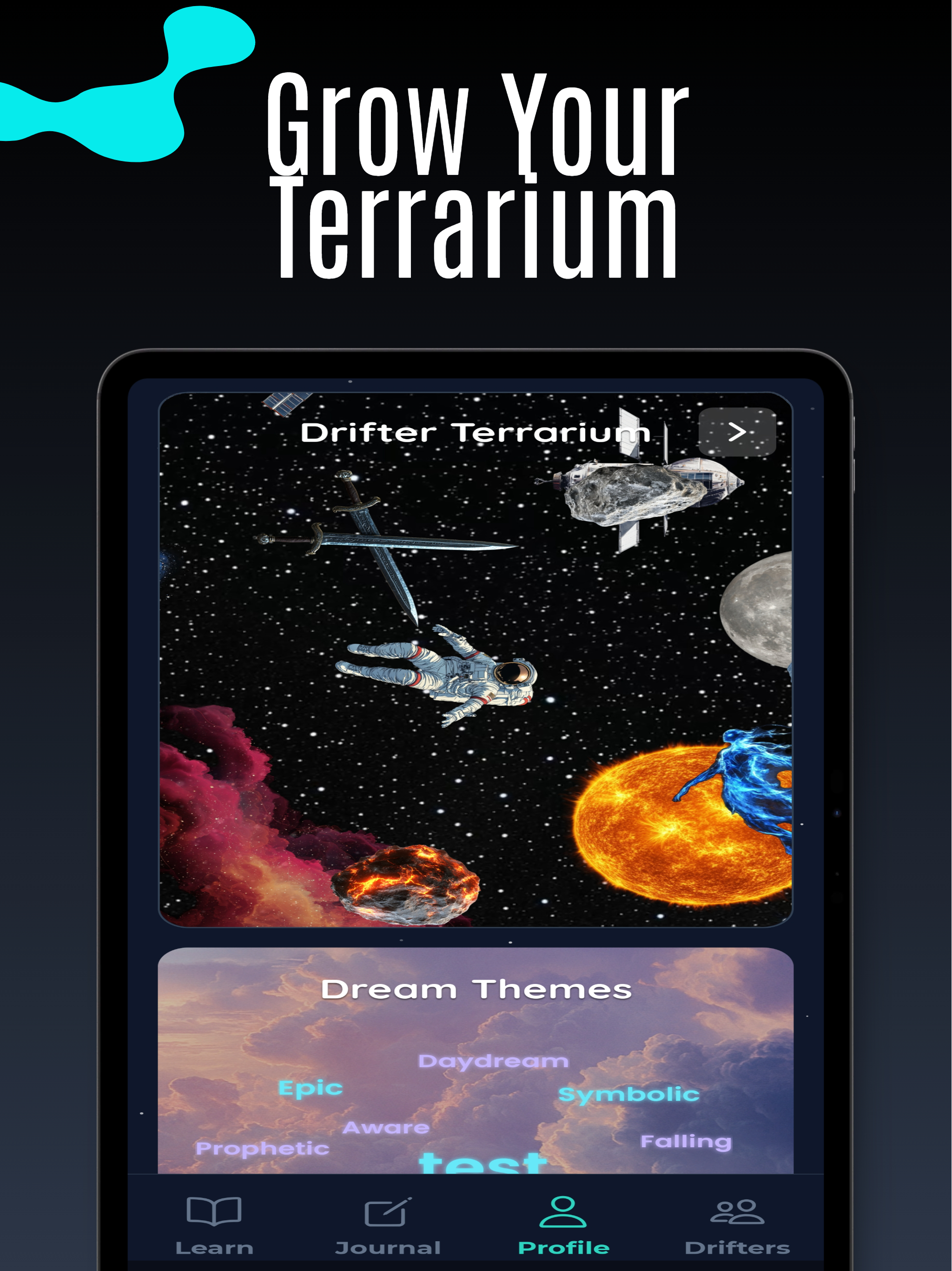 Dream Drifter - Dream Journal screenshot 13