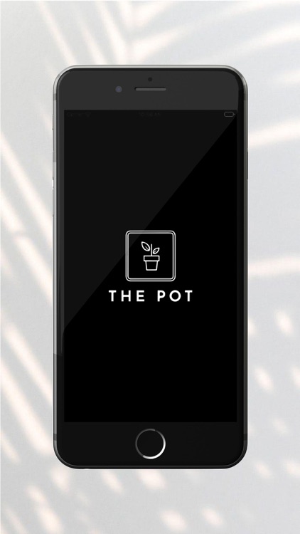 The Pot - ذا بوت