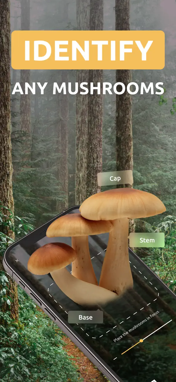 #1. Mushroom identifier: Fungi AI (iOS) By: Andrei Ivanou