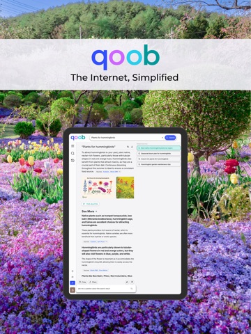 Qoob - Smart Search iPad screenshot