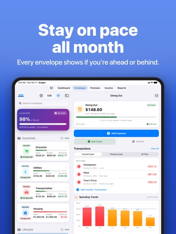 Budget Envelopes iPad screenshot