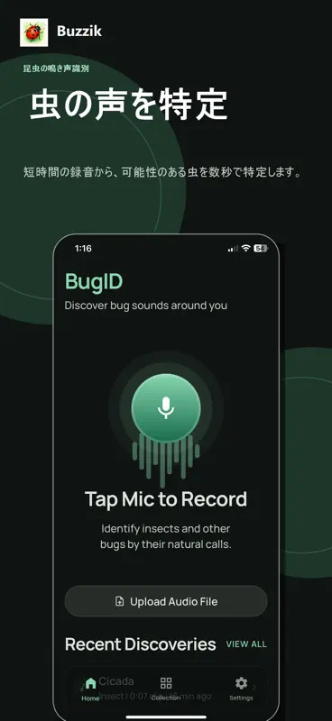 Bug Sound Identifier - Buzzik screenshot 1 of 5