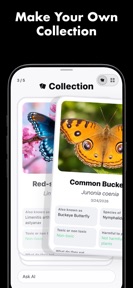 Butterfly Identifier: Scan AI screenshot