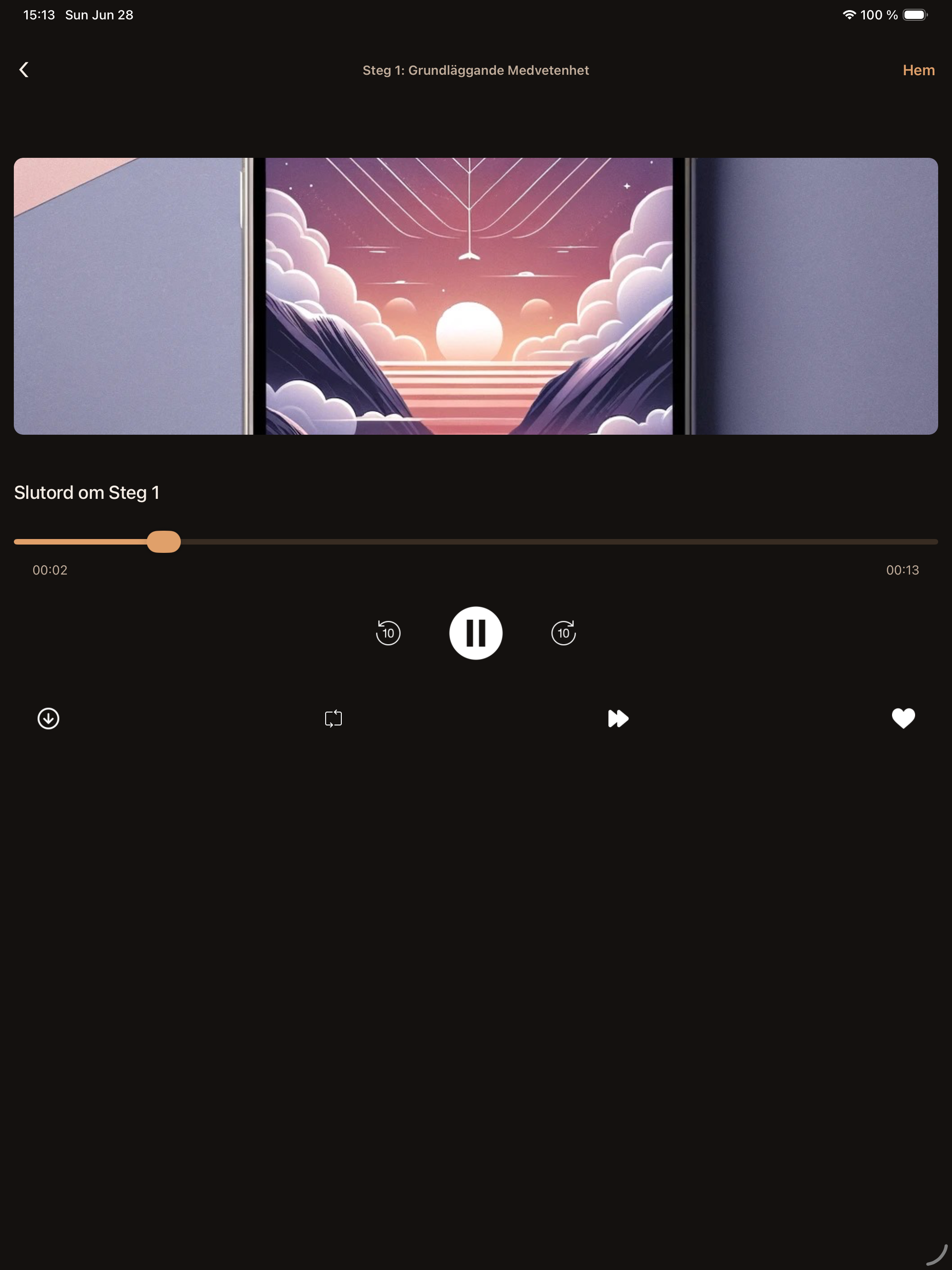 Flygvapnets Meditation screenshot 6