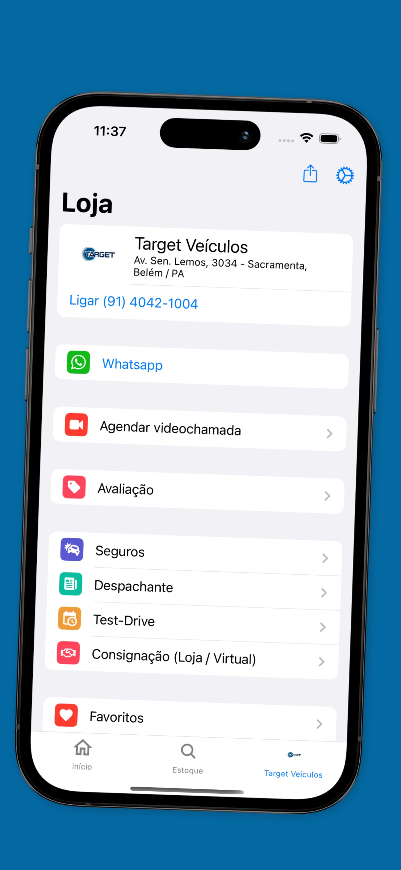 Target Veículos screenshot 4