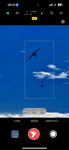 Motion Catch screenshot